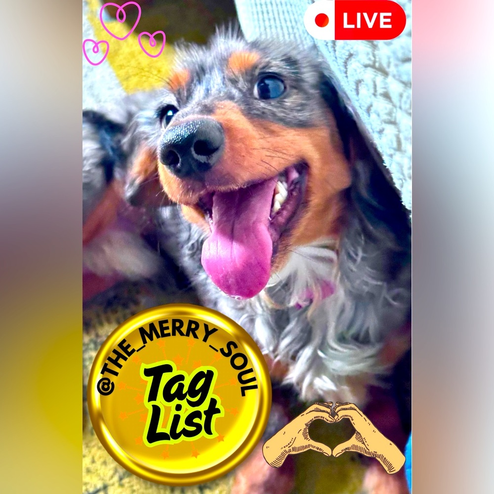 Tag List! @The_Merry_Soul